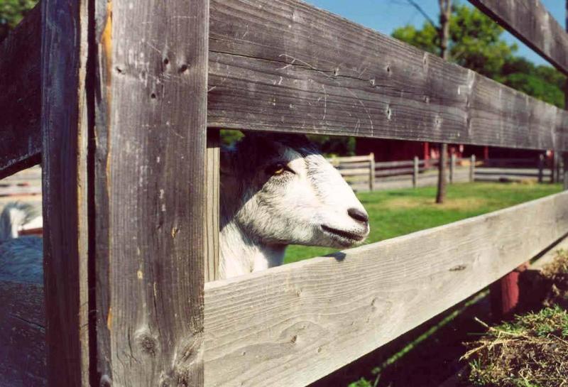 28DA2A54-1DD8-B71C-07DFF0C8A9949662-large